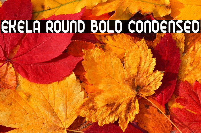 Ekela Round Bold Condensed Example 1