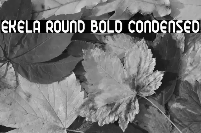 Ekela Round Bold Condensed Font examples