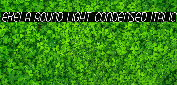 Ekela Round Light Condensed Italic Example 1