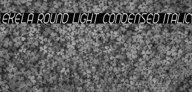 Ekela Round Light Condensed Italic Font examples