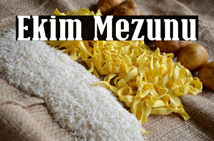 Ekim Mezunu Example 1