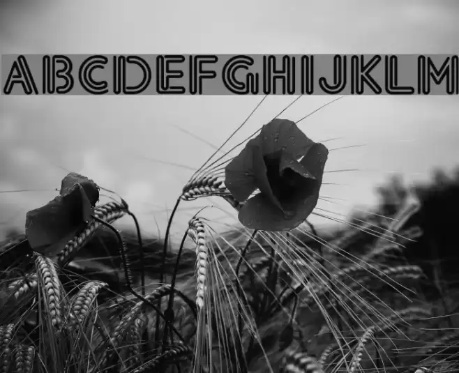 Eklektic-Normal Font examples