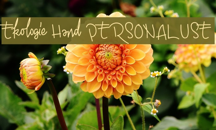 Ekologie Hand PERSONAL USE Example 3