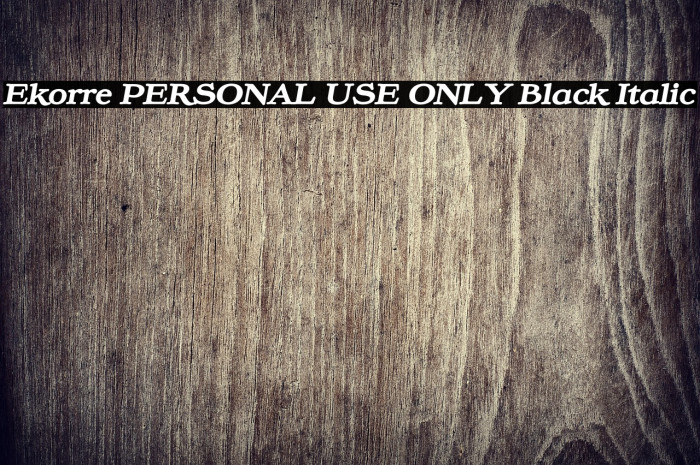 Ekorre PERSONAL USE ONLY Black Italic Example 1