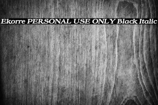 Ekorre PERSONAL USE ONLY Black Italic Example 1