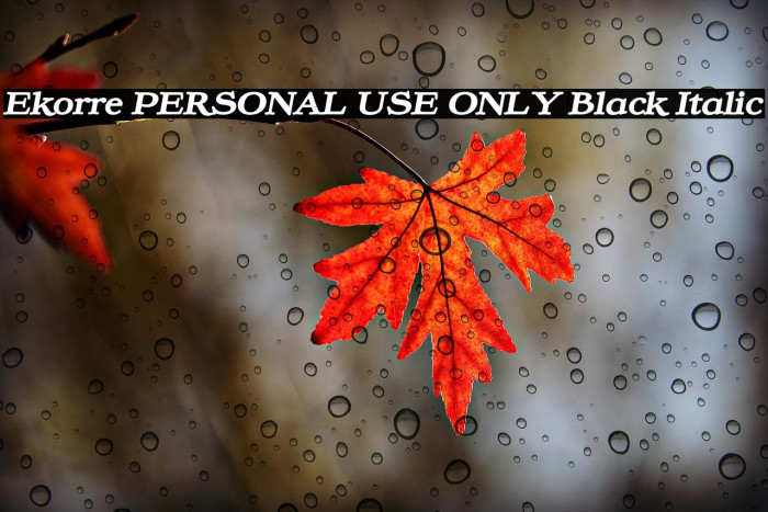 Ekorre PERSONAL USE ONLY Black Italic Example 3