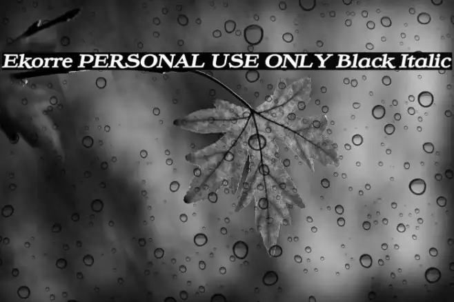 Ekorre PERSONAL USE ONLY Black Italic Example 3