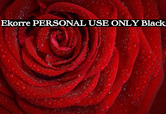 Ekorre PERSONAL USE ONLY Black Example 1