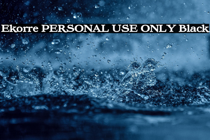 Ekorre PERSONAL USE ONLY Black Example 2