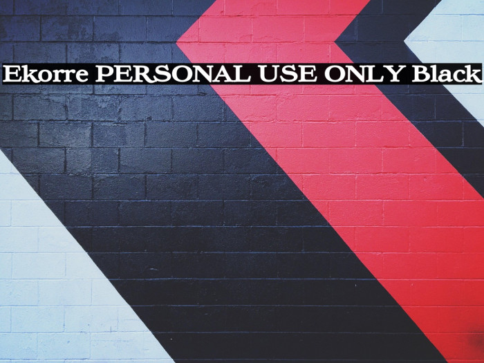 Ekorre PERSONAL USE ONLY Black Example 3