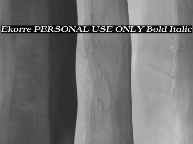 Ekorre PERSONAL USE ONLY Bold Italic Example 1