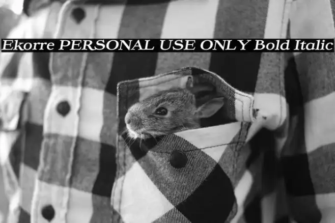 Ekorre PERSONAL USE ONLY Bold Italic Example 2