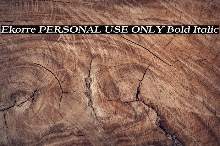 Ekorre PERSONAL USE ONLY Bold Italic Example 3