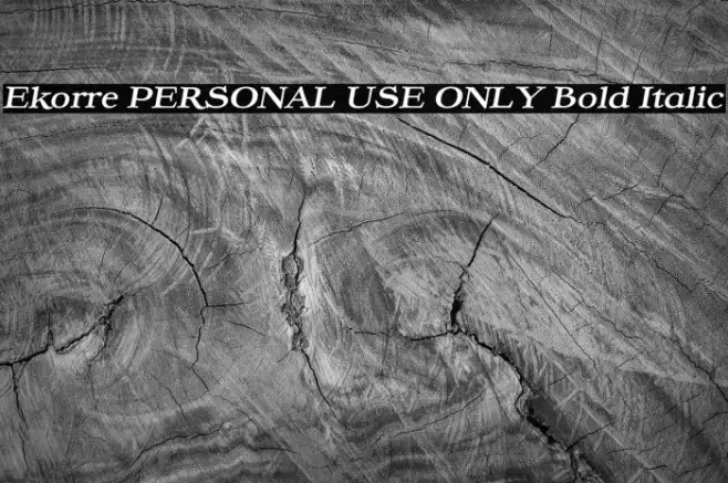 Ekorre PERSONAL USE ONLY Bold Italic Example 3
