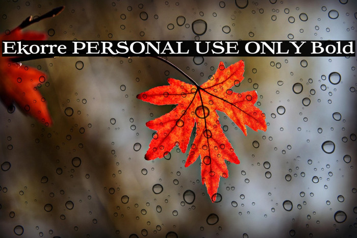 Ekorre PERSONAL USE ONLY Bold Example 1