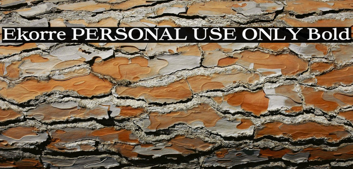 Ekorre PERSONAL USE ONLY Bold Example 2