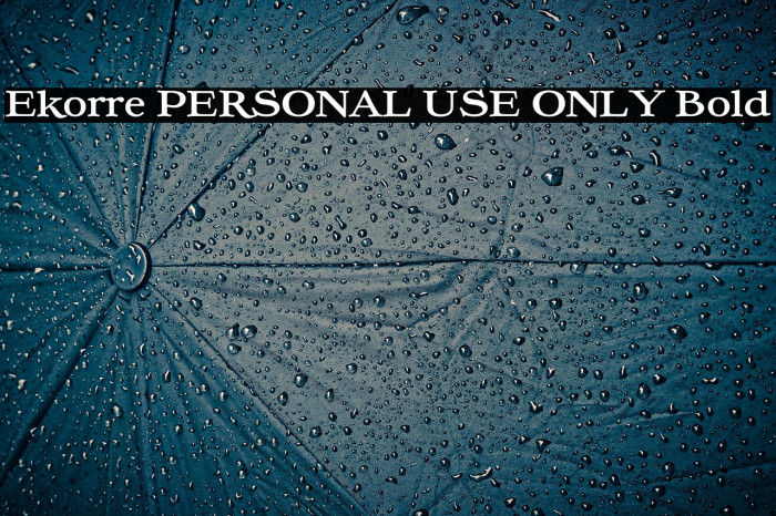 Ekorre PERSONAL USE ONLY Bold Example 3