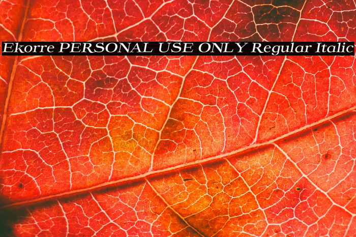 Ekorre PERSONAL USE ONLY Regular Italic Example 2