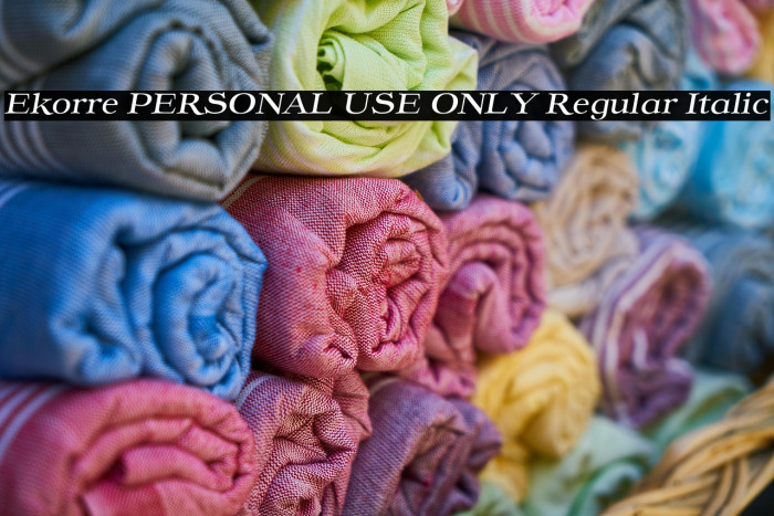 Ekorre PERSONAL USE ONLY Regular Italic Example 3