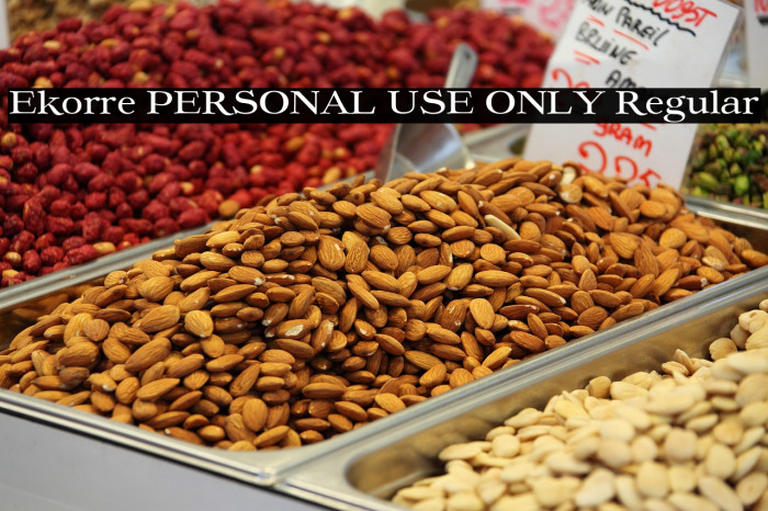 Ekorre PERSONAL USE ONLY Regular Example 1