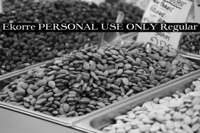 Ekorre PERSONAL USE ONLY Regular Font examples