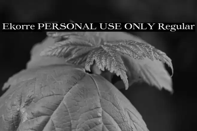 Ekorre PERSONAL USE ONLY Regular Font examples