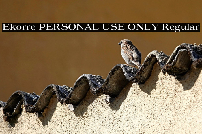 Ekorre PERSONAL USE ONLY Regular Example 3