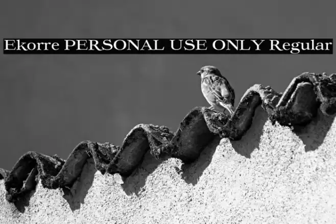 Ekorre PERSONAL USE ONLY Regular Font examples