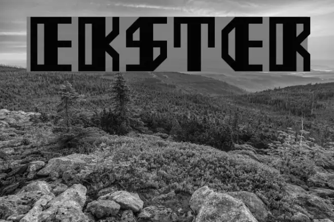 Ekster Example 3