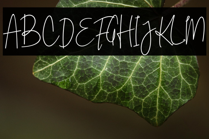 Ekuador City Example 3