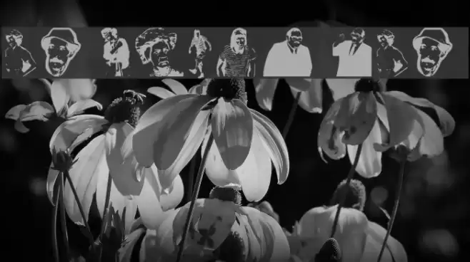 EL CHAVO DEL 8 Font examples