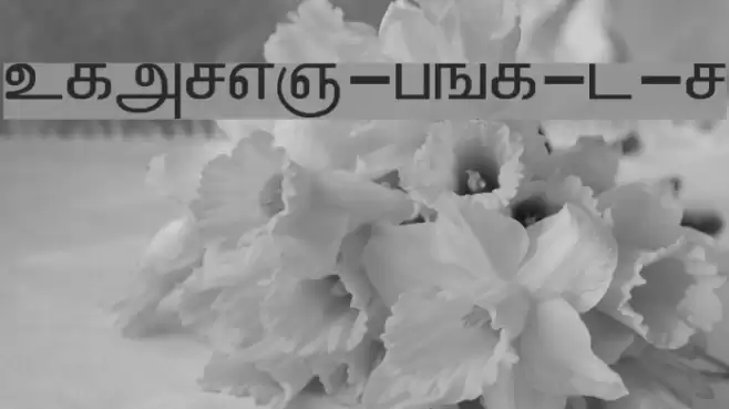 ELANGO-TML-Panchali-Normal Font examples