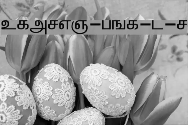 ELANGO-TML-Panchali-Normal Font examples