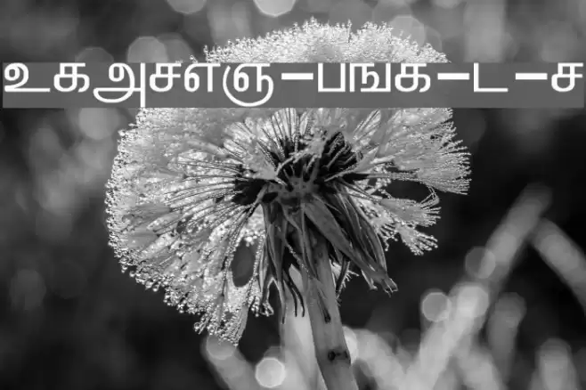 ELANGO-TML-Panchali-Normal Font examples