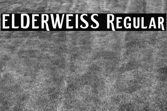 ELDERWEISS Regular Example 2