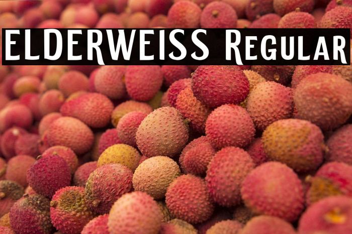 ELDERWEISS Regular Example 3