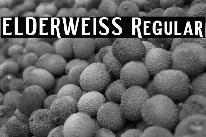 ELDERWEISS Regular Example 3