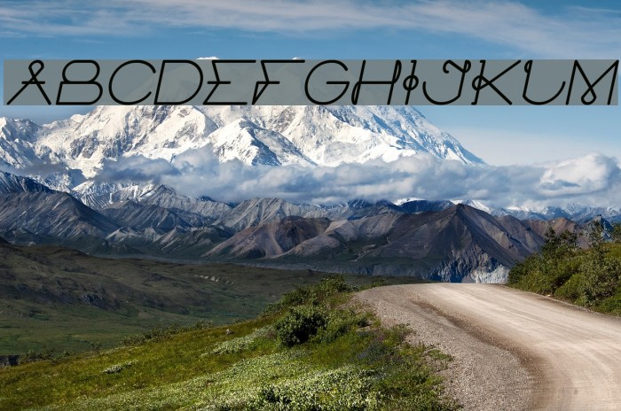 ELECTRIC CITY Bold Italic Example 1