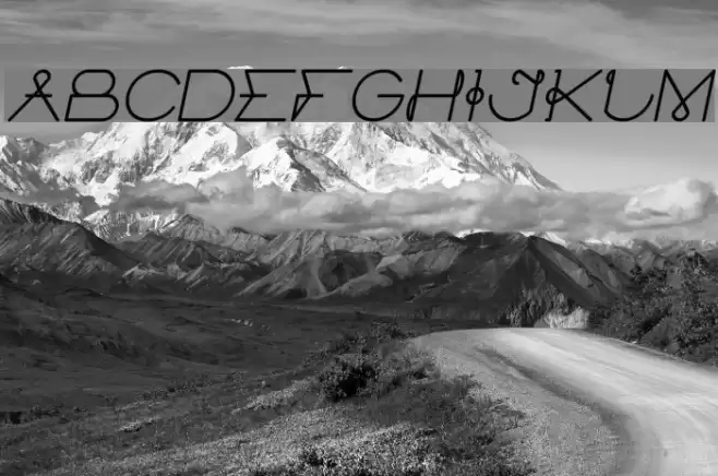 ELECTRIC CITY Bold Italic Font examples