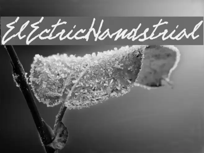 ELECTRICHANDS-trial Font examples