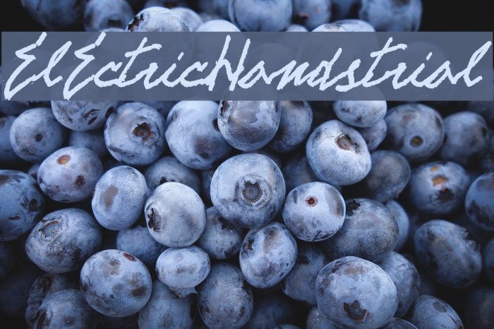 ELECTRICHANDS-trial Font examples