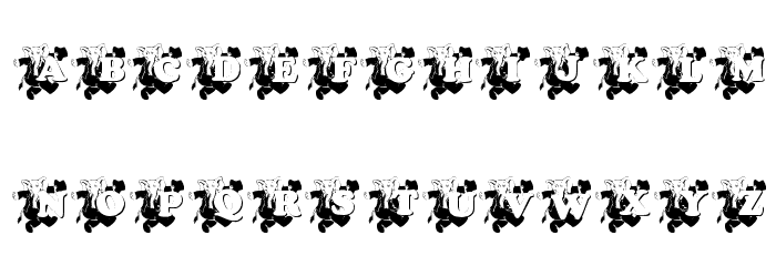 ELEFUN_KG Font OTHER CHARS