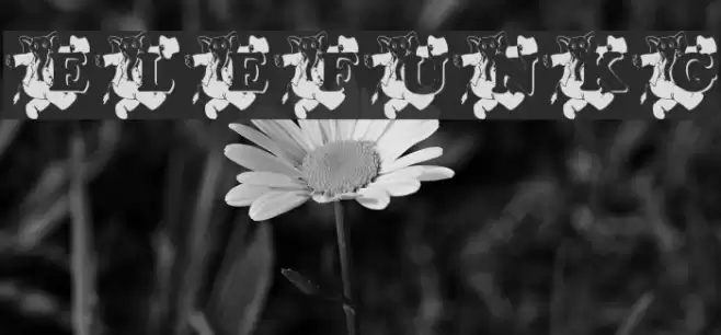 ELEFUN_KG Font examples