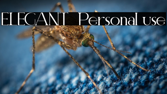 ELEGANT  Personal use Example 1