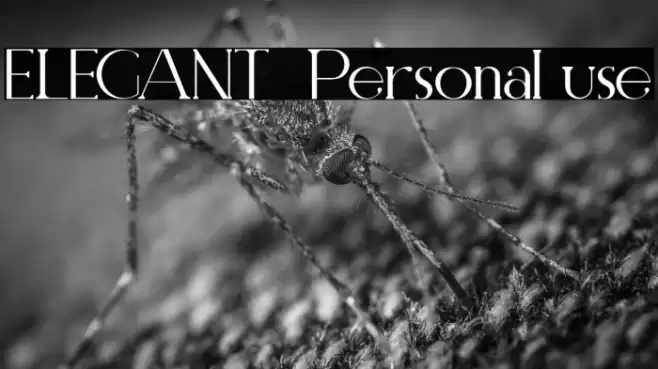 ELEGANT  Personal use Font examples
