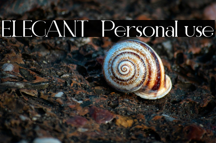 ELEGANT  Personal use Example 2