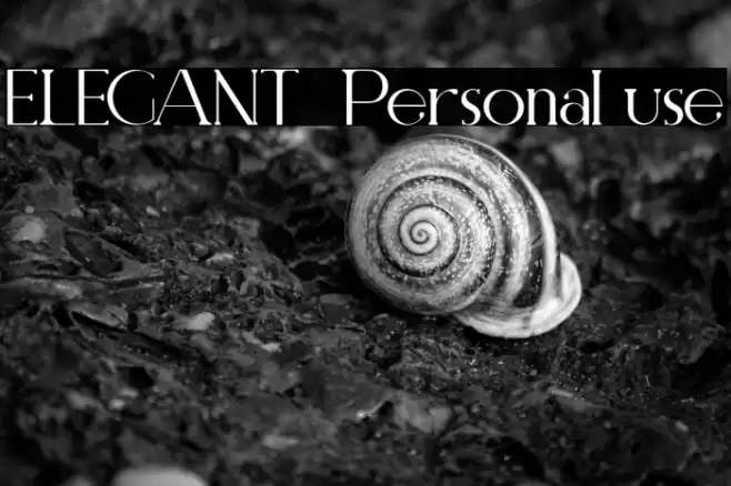 ELEGANT  Personal use Font examples