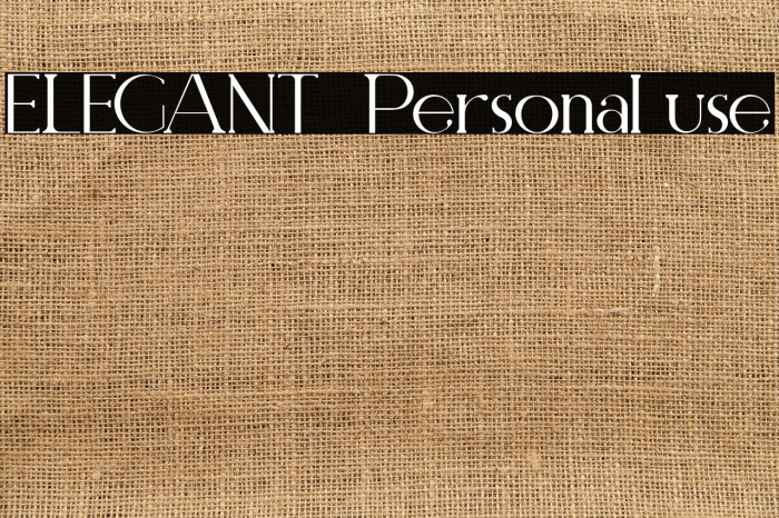 ELEGANT  Personal use Example 3