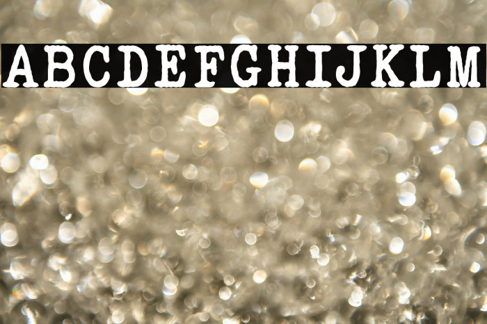 ELEGANT TYPEWRITER Bold Example 2