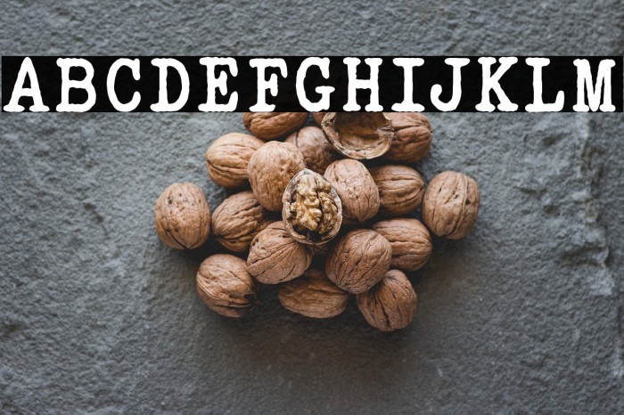 ELEGANT TYPEWRITER Bold Example 3